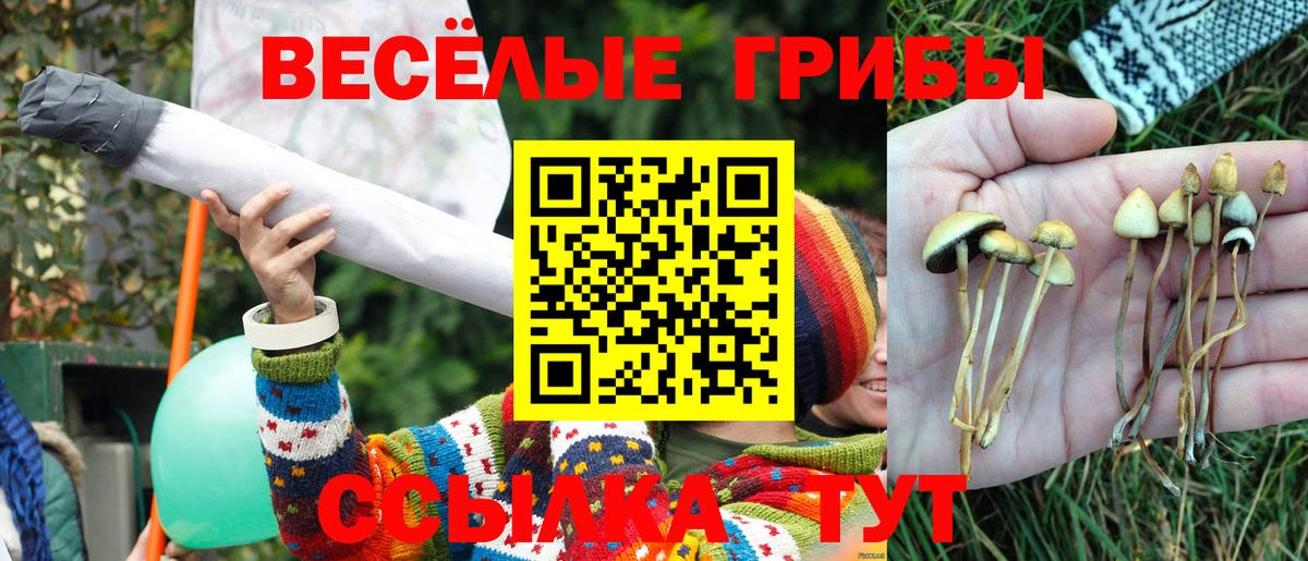 Галлюциногенные грибы Psilocybe Усть-Кут